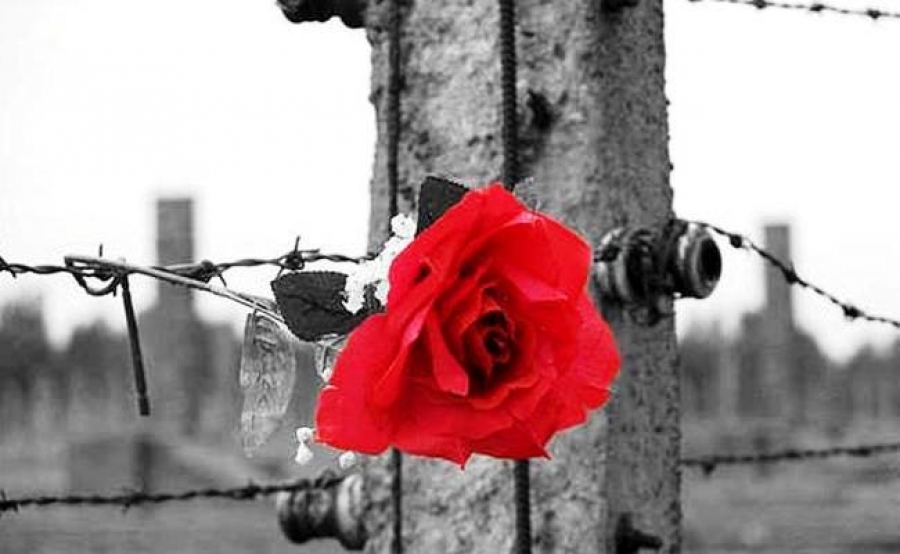 5dd4b7e13497b1cdfc3b17b4ca3927aa_XL-723