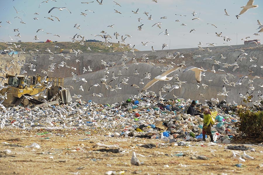 c84bca2a562da7d1131a1d0c3f135dbe_XL-86c