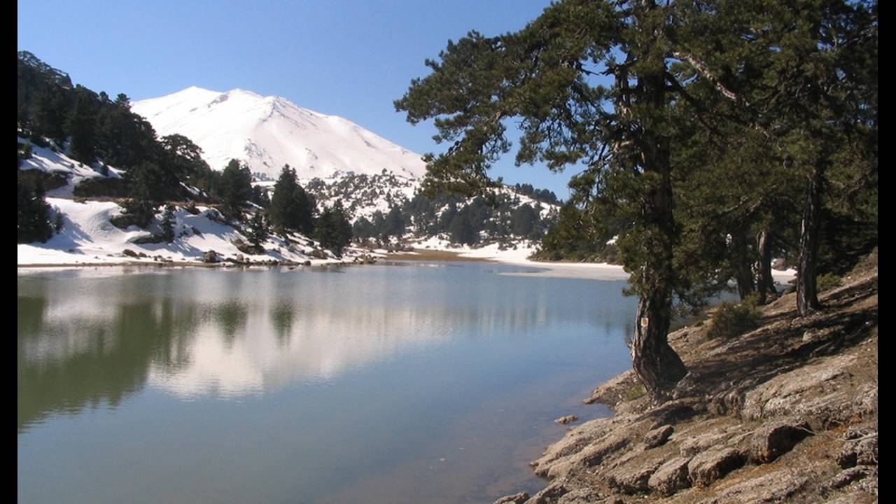 5f32f9e53c7f38fc5fcf851f34899d9b-456