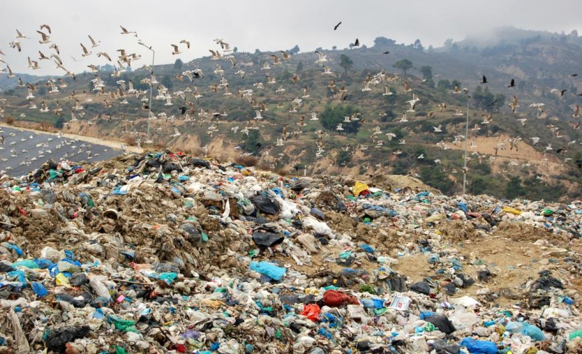 cc88f2d6d7efb87c36fab36d95f2f33a_XL-f4f