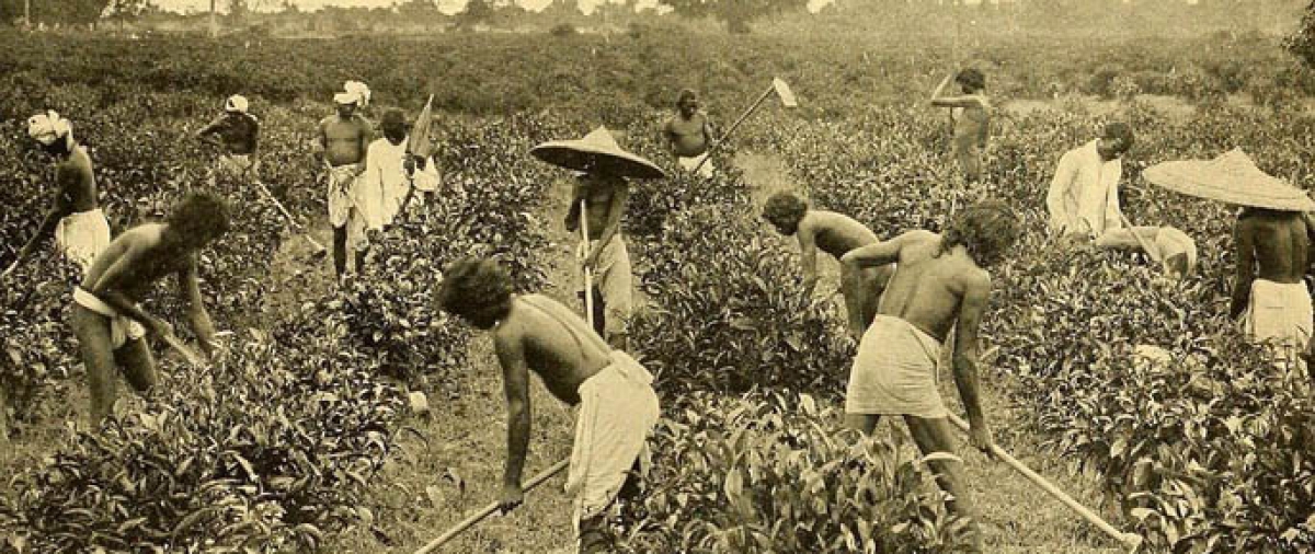 58498ff2e6ae7a2b1a400d430f906736_XL-de2