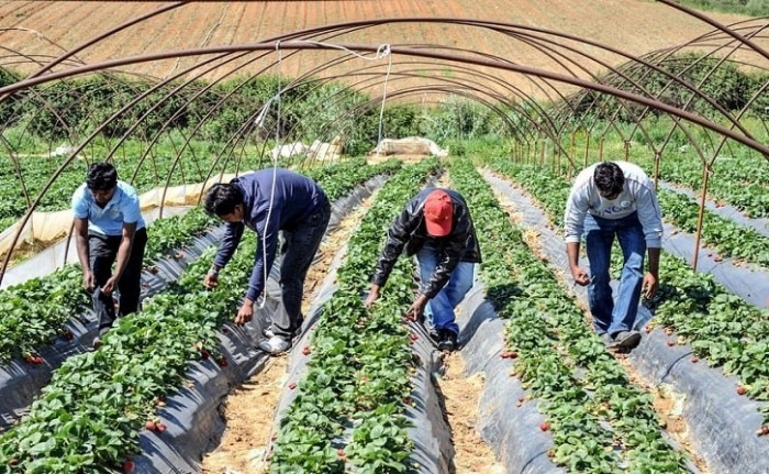 e53aed97732e10e2b3bc48a66ae24cc8-cfc