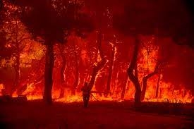 7ccfcb570c3f91b91b8a2ad2cca101f2-ee1