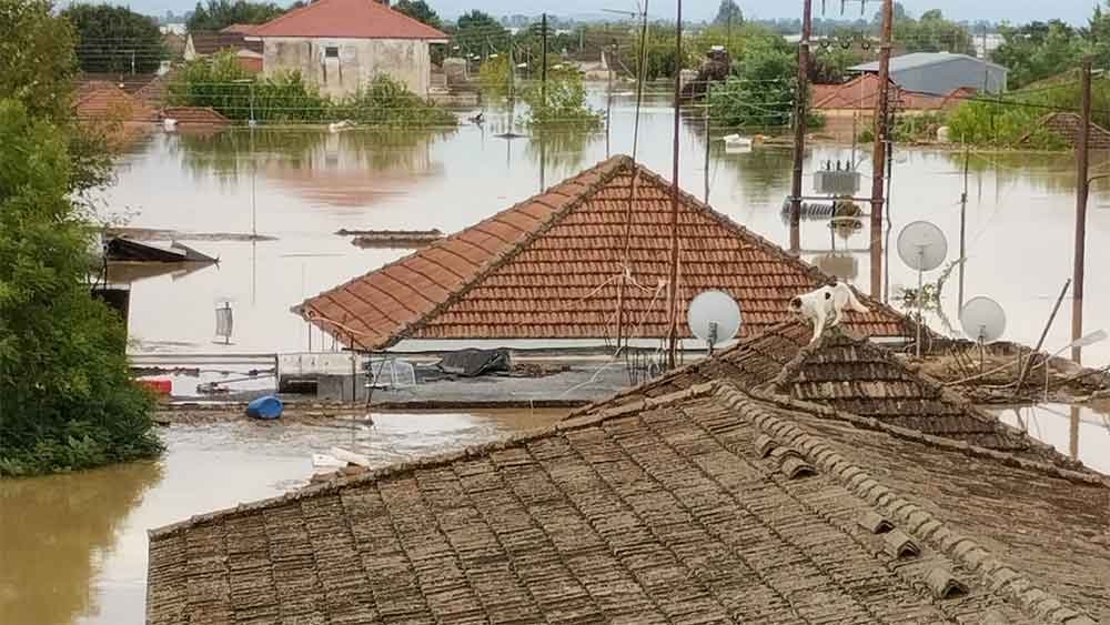 11f1d1e06e0213c5ab0c235bdef495a0-51d