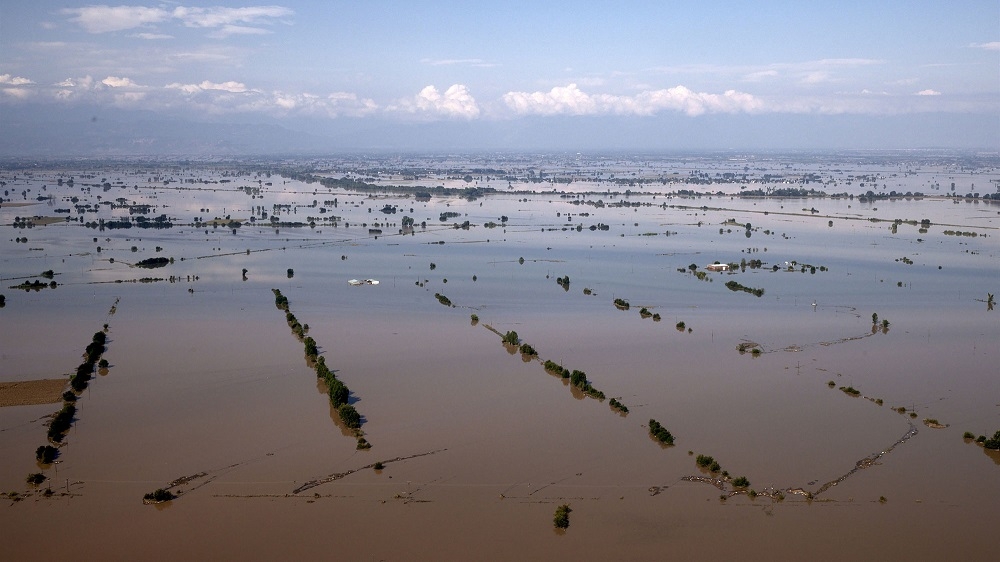 a03ca31538776a95652871566d582d37-cff