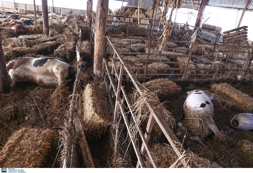 ff11ec92127ef99796acff5beee84416-163